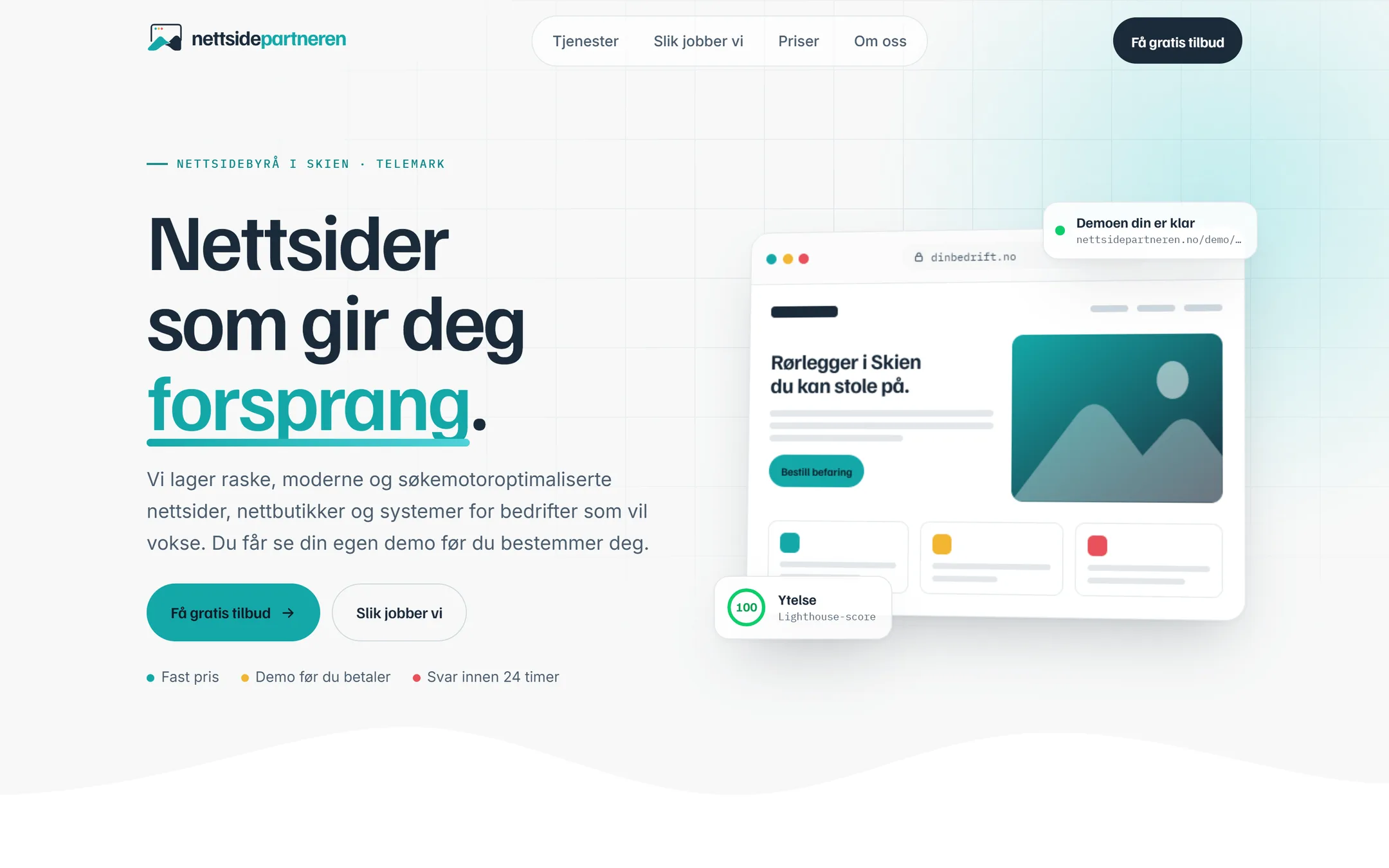 Skjermbilde av Nettsidepartneren.no